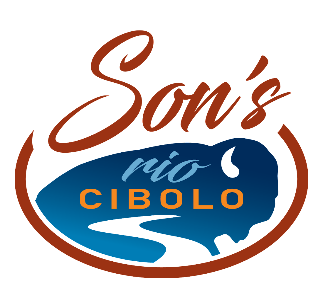 Son's Rio logo