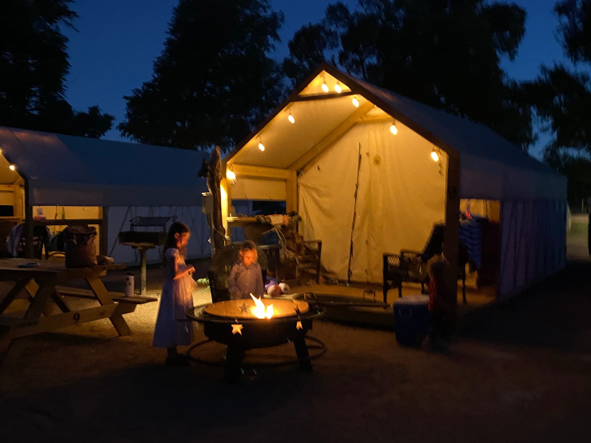 Campfire Nights & Stargazing